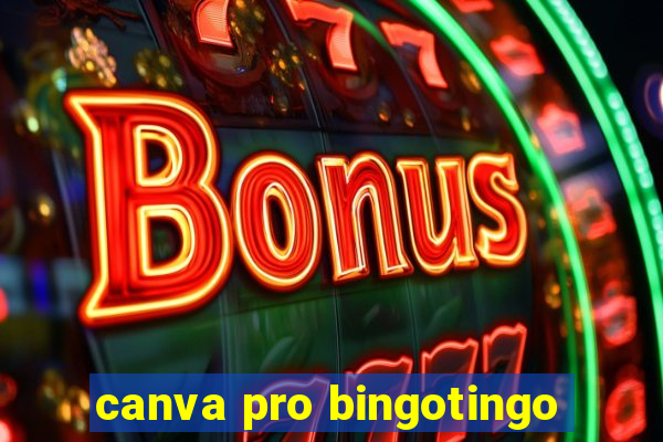 canva pro bingotingo